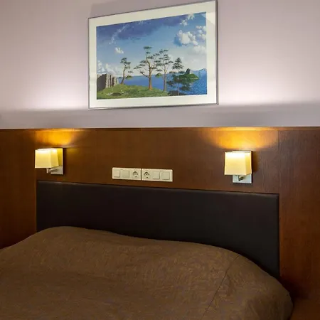 维金水疗酒店 3* 派尔努