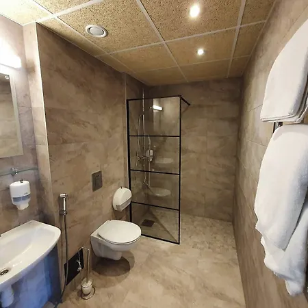 Hotel Viiking 3*