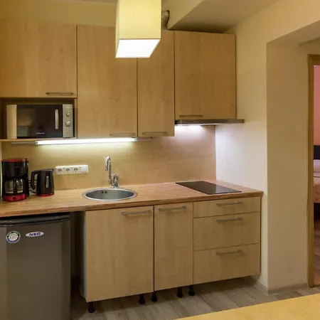 维金水疗酒店 酒店 派尔努