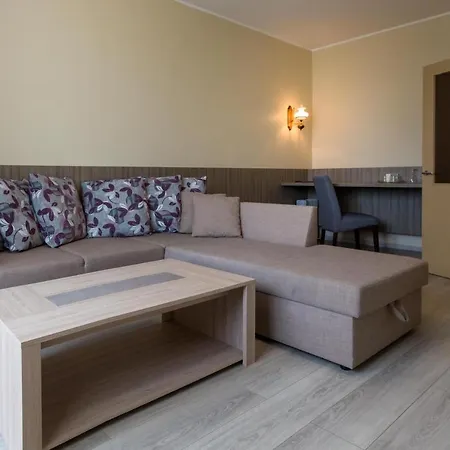 酒店 维金水疗酒店 3*