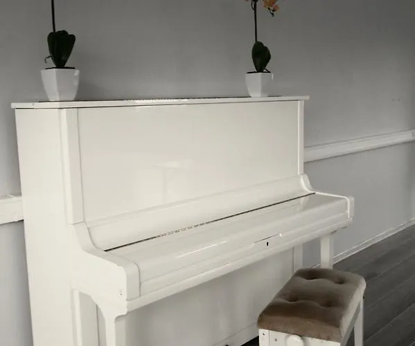 Hotel Viiking Pärnu