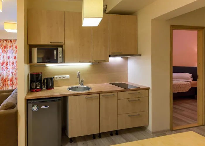 维金水疗酒店 酒店 派尔努