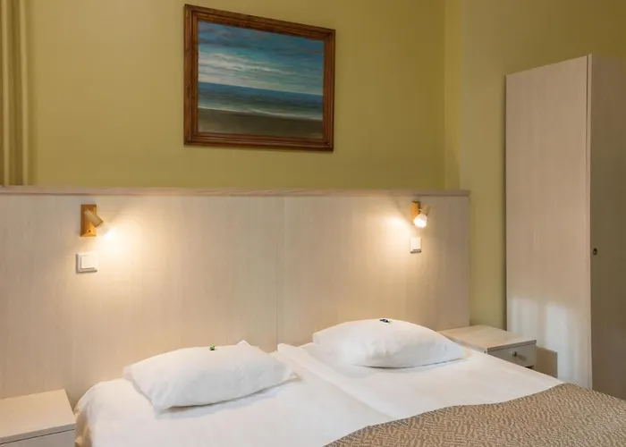 酒店 维金水疗酒店 3*